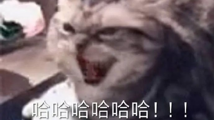 ❤️久违了朋友