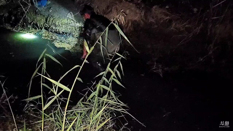 【户外】微山湖捕鱼武工队的精彩时刻 20221112 00点场