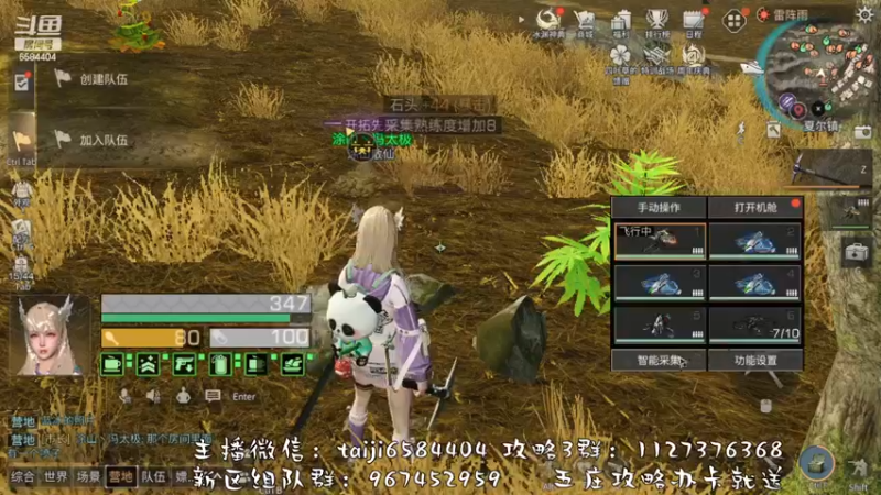 【2022-11-10 17点场】中华田园冯太极：果壳岛<涂山散仙>营地收人