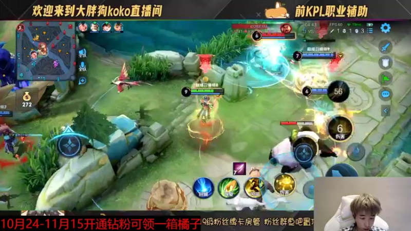 【2022-11-11 23点场】大胖狗koko：快乐时光又开始啦