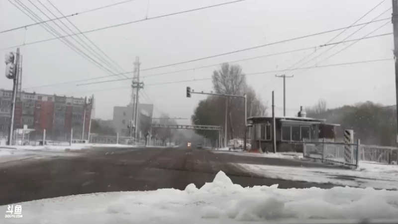【2022-11-12 15点场】黑欢喜：双倍亲密度！又又又又下雪了。