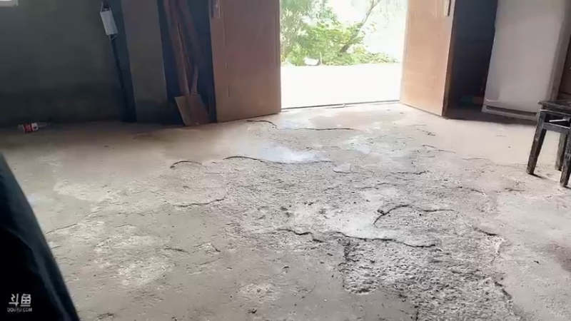 【2022-11-09 11点场】昔恩小姐姐：【小奶团】水友今天到晚上户外~