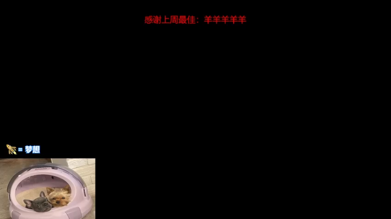 【2022-11-11 15点场】瓦罗兰特啊杰：【啊杰】：双倍亲密度！！！