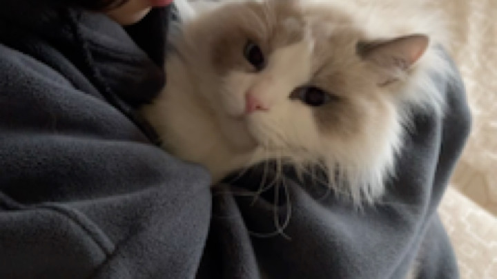 我声音大是因为喝了一杯半