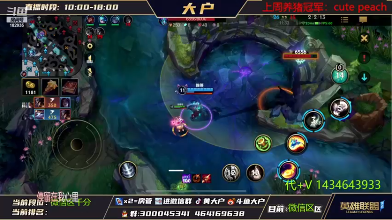 【2022-11-10 10点场】大户呀：今天猫咪专场！