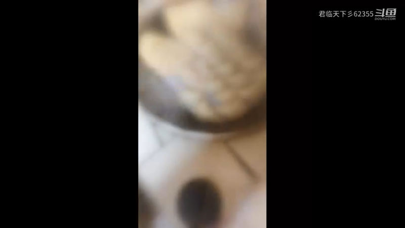 菜扁子