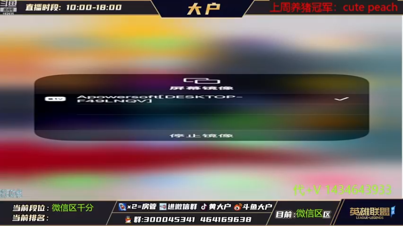 【2022-11-10 08点场】大户呀：今天猫咪专场！
