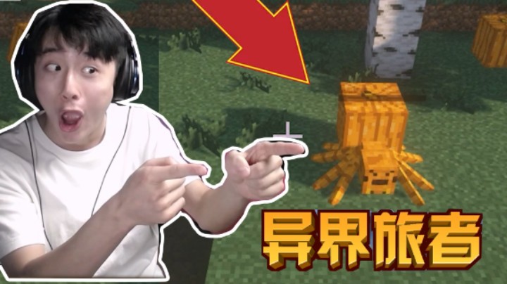 你跟我说这是异世界我都信！我的世界异界旅者