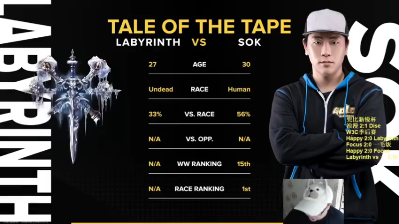 【TED出品】W3C季后赛败者 一毛饭 vs Laby 送30人口又如何