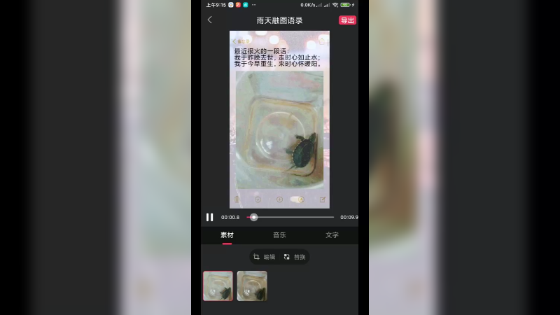 龟龟日常