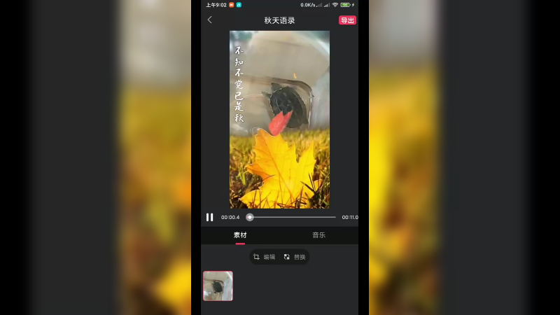 龟日常