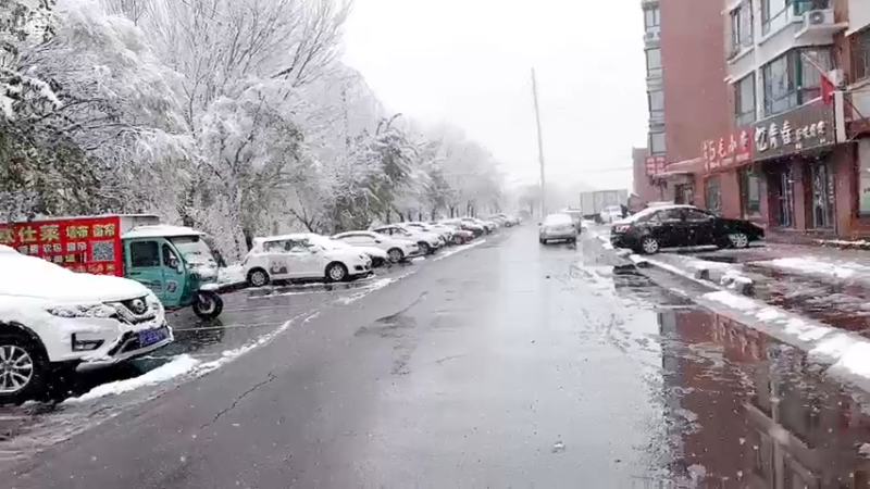 【2022-11-12 14点场】包包QuQ：【小奶团】下雪啦 户外户外