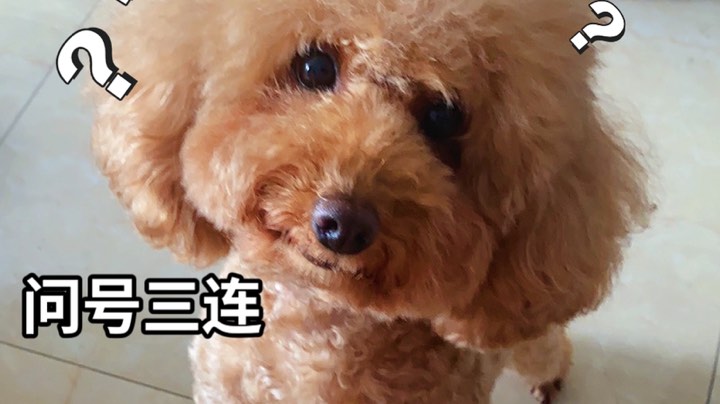 凌晨战神！