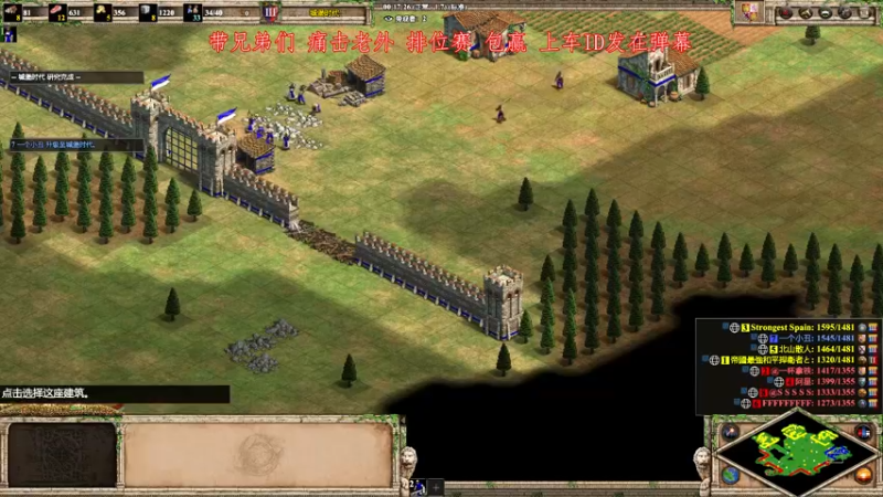 【2022-11-13 20点场】帝国时代肥龙大师：周末带兄弟们乱杀一波老外
