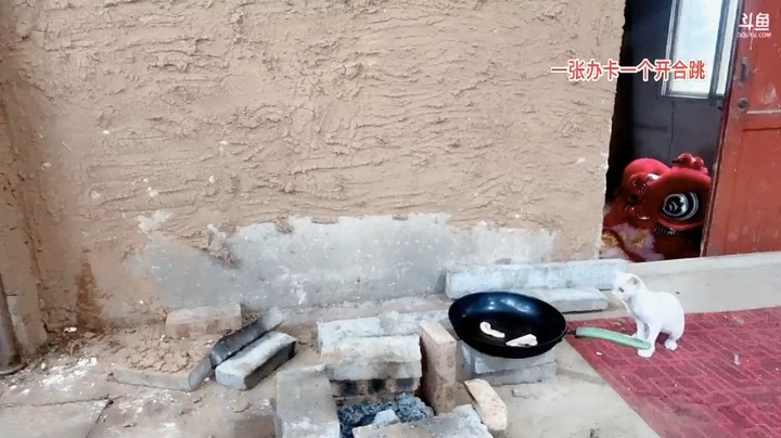 橙子在做饭，结果猫想吃肉，尴尬了