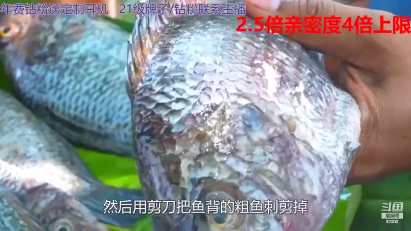 【2022-11-14 02点场】呆妹儿小霸王：【钻粉2.5倍】：一起see会儿~