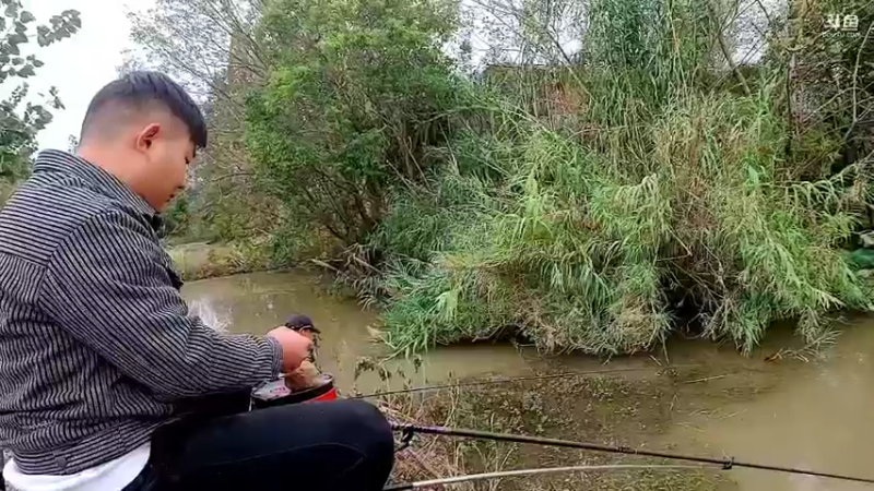 【2022-11-14 16点场】洪湖小肖：开开心心看直播