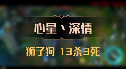 【心星丶深情】狮子狗 13杀3死