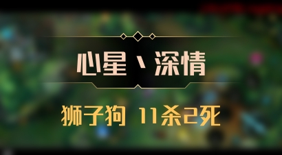 【心星丶深情】狮子狗 11杀2死
