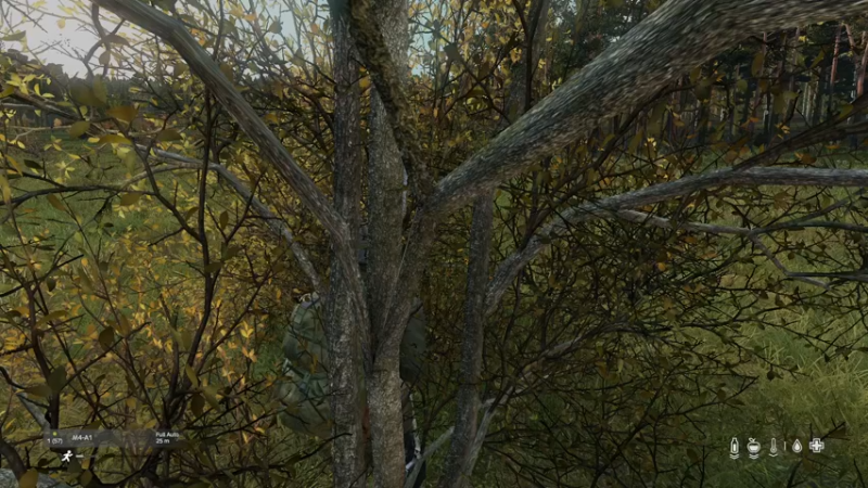 【2022-11-14 19点场】dayz韩爱东西：老韩带你们发东南西北旋风财