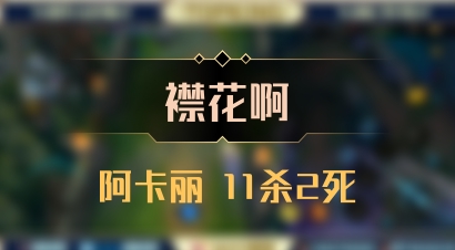 【襟花啊】阿卡丽 11杀2死