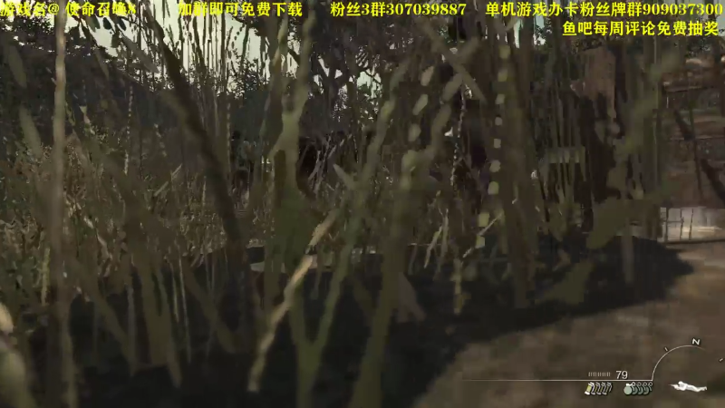【命运2】主播猪大的精彩时刻 20221114 17点场