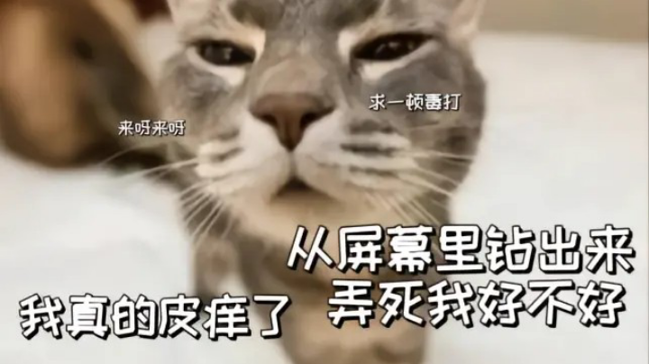 猛猛刷猎户座