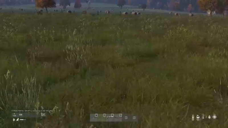 【2022-11-14 16点场】dayz韩爱东西：老韩带你们发东南西北旋风财