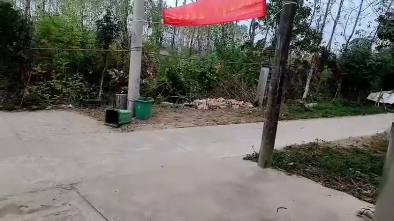 【2022-11-14 14点场】洪湖小肖：开开心心看直播