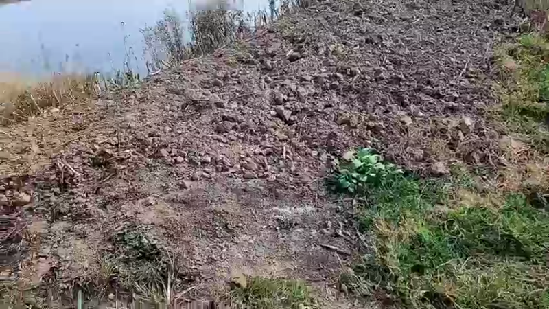 【2022-11-15 13点场】洪湖小肖：开开心心看直播