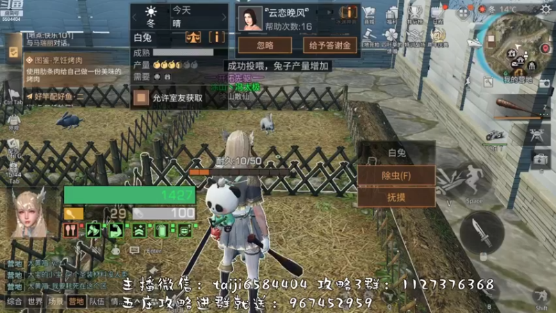 【2022-11-14 17点场】中华田园冯太极：果壳岛<涂山散仙>营地收人