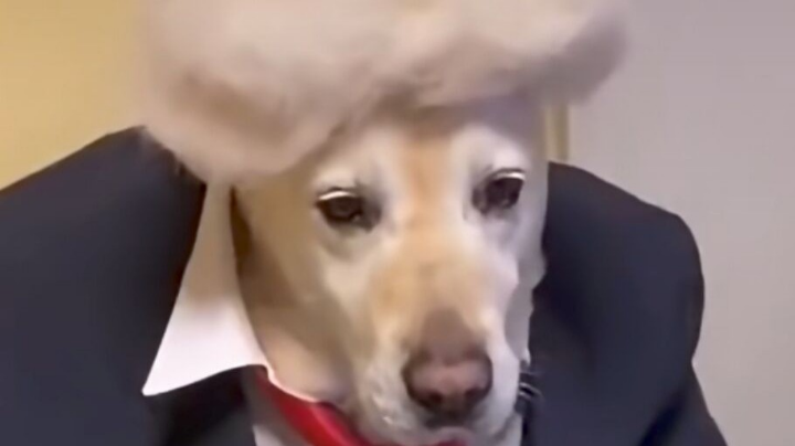 。