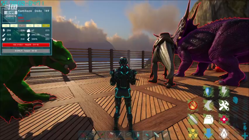 【2022-11-14 22点场】夏木AWT：新人主播，喜欢的请点点关注