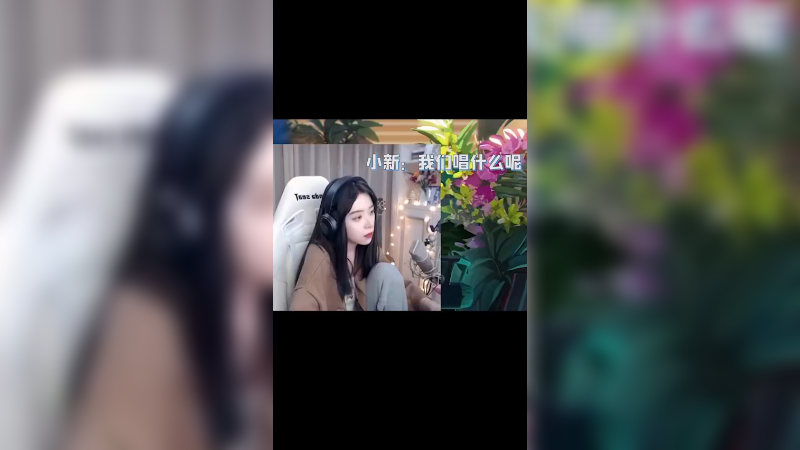 老杰迷了，童猪