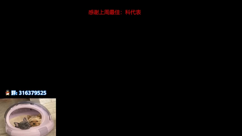 【2022-11-14 15点场】瓦罗兰特啊杰：【啊杰】：开车 开车！！！