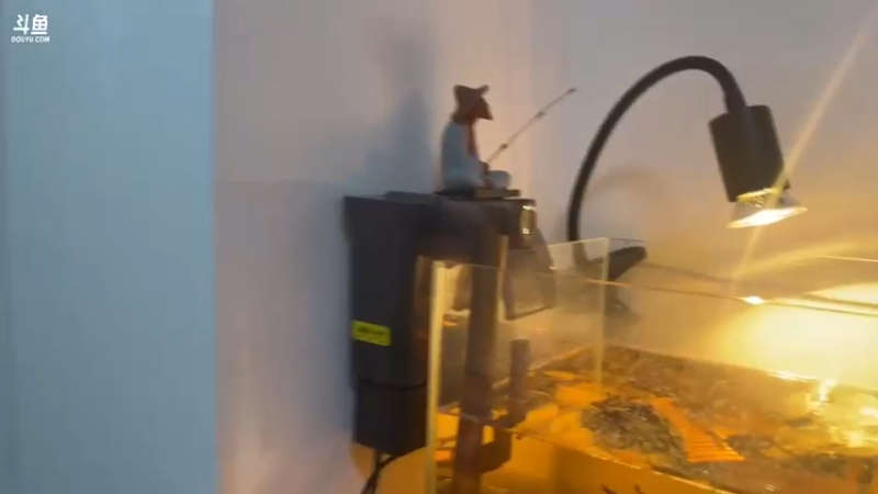 【2022-11-16 14点场】yjjimpaopao：3點戶外啊啊啊