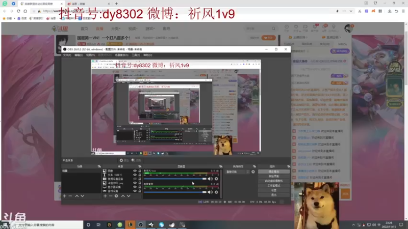 【2022-11-15 23点场】祈风1v9：国服第一VN！一个打八百多个！