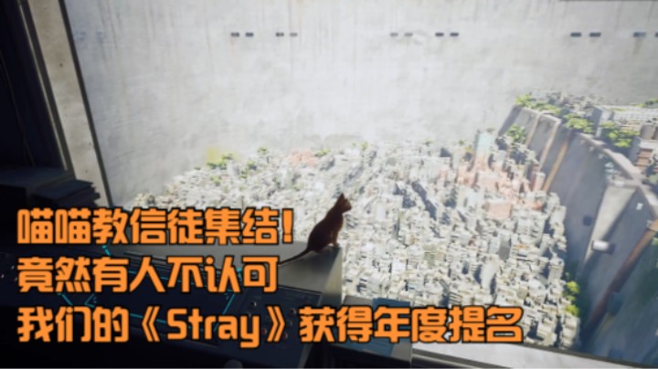 喵喵教信徒集结！竟然有人不认可我们的《Stray》获得年度提名