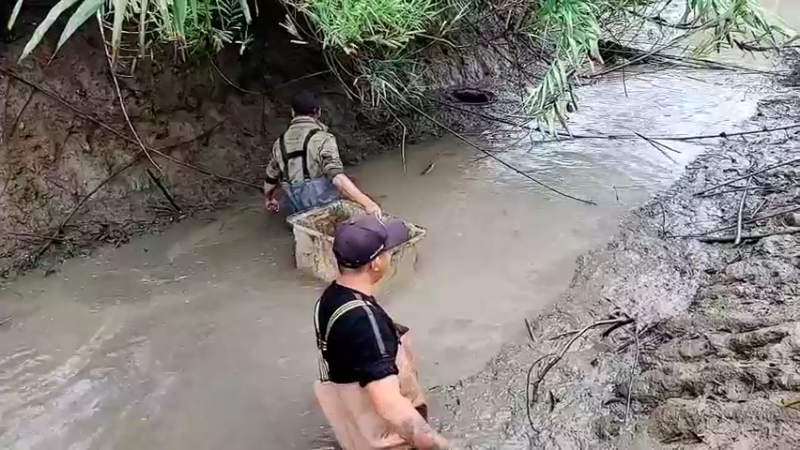 【2022-11-16 15点场】洪湖小肖：开开心心看直播