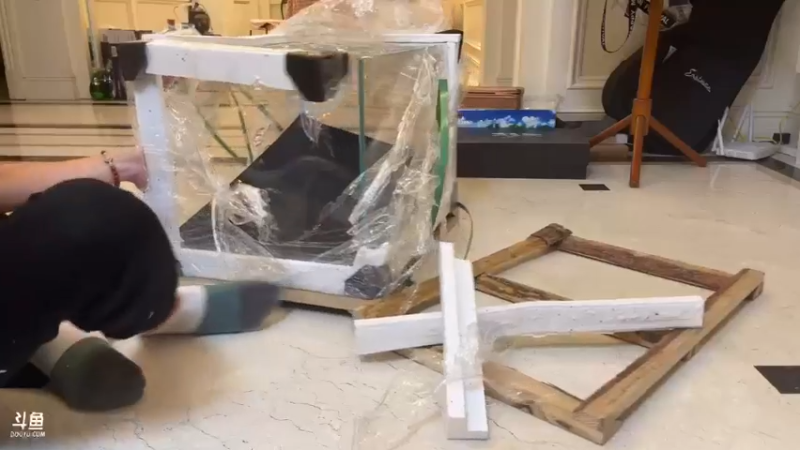 【2022-11-16 18点场】yjjimpaopao：3點戶外啊啊啊