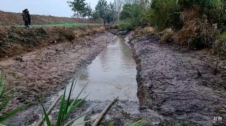 抽塘抓鱼了，这鱼都跳起来了