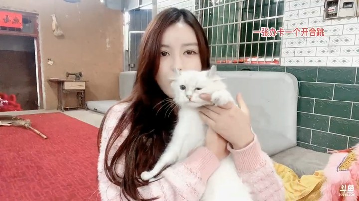 美女橙子抱着宠物猫直播好开心