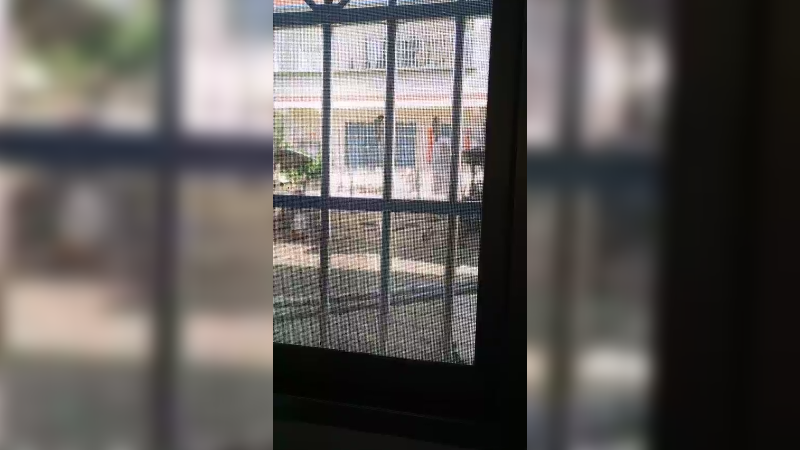 看鸟