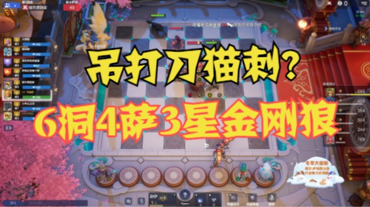11人口6洞4萨3星金刚狼，吊打到猫刺？