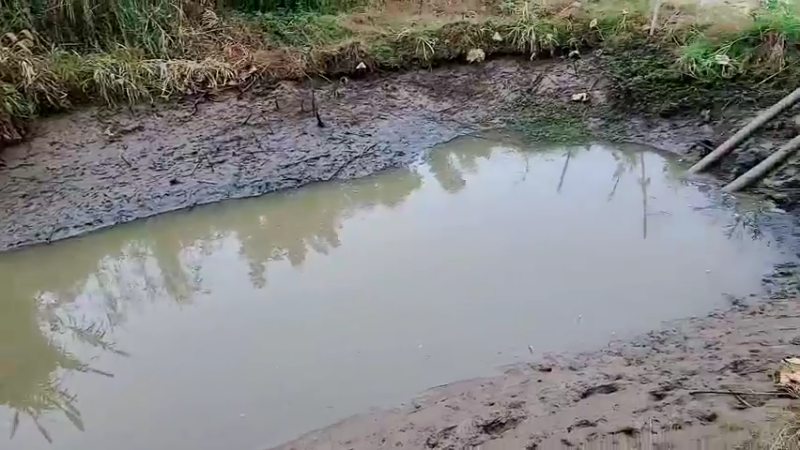 【2022-11-16 13点场】洪湖小肖：开开心心看直播