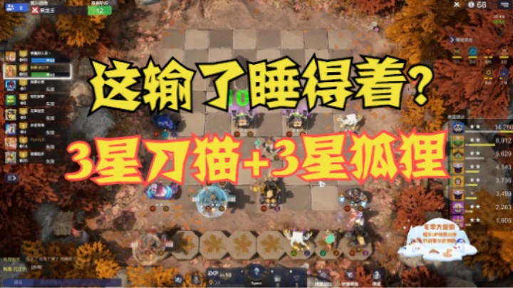 基拉6刺3星刀猫+3星狐狸！绝望吗？直到看见一缕金色的光……