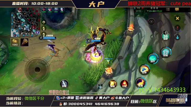 【2022-11-15 15点场】大户呀：是我的猫咪太菜了吗