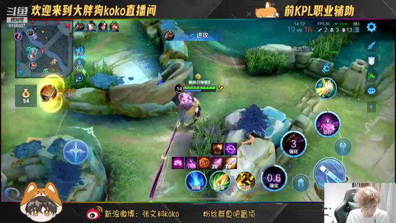 【2022-11-16 21点场】大胖狗koko：（巅峰前100）辅助玩家请进 斗鱼最强辅
