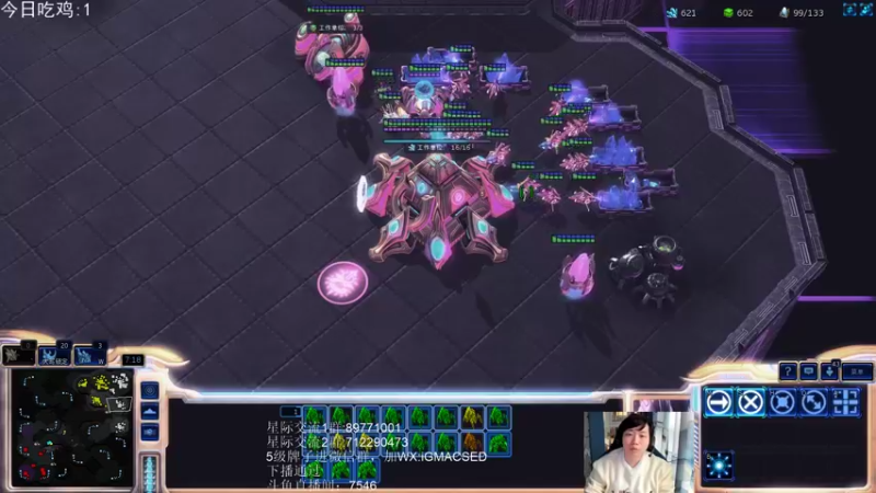 【2022-11-17 16点场】igmacsed：每把星际都当最后一把，然后就也不要怕关服