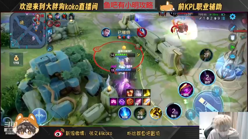【2022-11-17 17点场】大胖狗koko：帮粉丝上分 明世隐辅助炸鱼